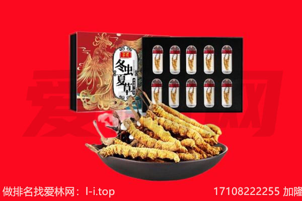 固阳县回收虫草.jpg